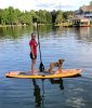 barkley paddleboard.jpg