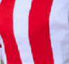 crop 4141.png