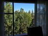 vgc_5514_window.jpg