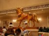 Dsc09835.jpg