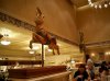 Dsc09838.jpg