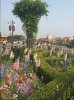 2018-04-27 16.04.44.jpg