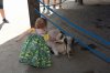 AK_RPWROVER_20170928_405143754362 (800x533).jpg