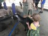 IMG_4513 (800x600).jpg
