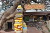 The_Many_Adventures_of_Winnie_the_Pooh_Magic_Kingdom.jpg