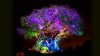 tree-of-life-04.jpg