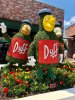 IMG_May132018at83639AM.jpg