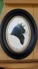 Resized_20180517_115639_2235.jpeg