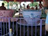 Dsc00037.jpg