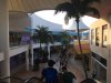 IMG_4029.JPG
