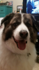 upload_2018-5-21_11-5-38.png