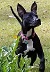 20171105_102655.jpg
