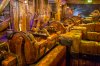 disney_early_morning_magic_kingdom-56.jpg