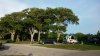20180525_064550.jpg