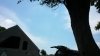 20180525_103157.jpg