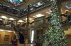 wonder 2011 atrium lights 11-137 100_4226 1500.jpg