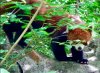 1280F71C-A6F2-48F1-9D30-B7E253D186EE.jpeg