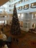 IMG_20171205_121244151 - Copy.jpg