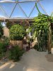 IMG_May302018at95329AM.jpg