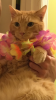 upload_2018-5-30_16-6-10.png