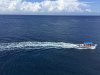 IMG_4054.JPG