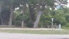 20180526_192524_resized.jpg