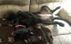 upload_2018-6-5_8-36-23.jpeg