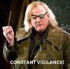Constant Vigilance.jpg