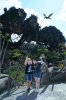 IMG_Jun62018at85151AM.jpg