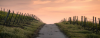 upload_2018-6-8_8-10-4.png