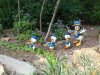 DSC00201.JPG