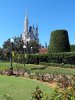 DSC01015.JPG