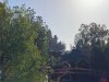 D018D76A-E0FF-4124-ADD5-C007572711B1.jpeg