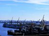 IMG_3962.JPG
