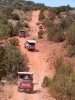 jeeps.jpg