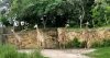 upload_2018-6-12_7-51-21.jpeg