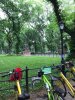 central park 2.jpg