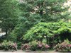 central park 13.jpg