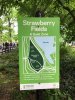 central park 14.jpg