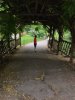 central park 16.jpg