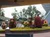 IMG_5985.jpg