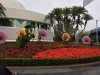 IMG_5986.jpg