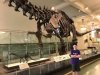 amnh 4.jpg