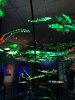amnh 17.jpg