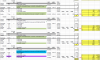 Screen Shot 2018-06-17 at 7.42.26 PM.png