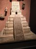 amnh cont 3.jpg