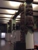 amnh cont 4.jpg