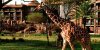 Animal-Kingdom-Lodge-900x450.jpg