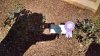 epcot march 2016 011.jpg