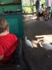 IMG_6013.jpg
